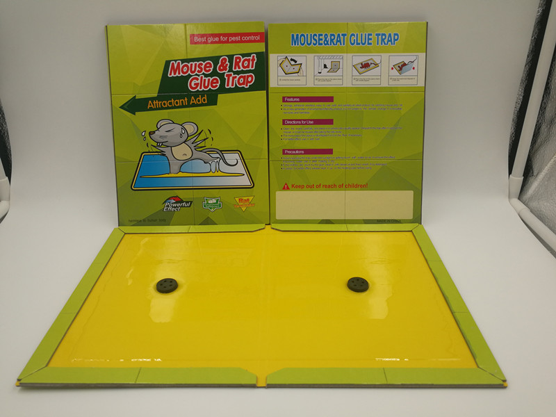 粘鼠板